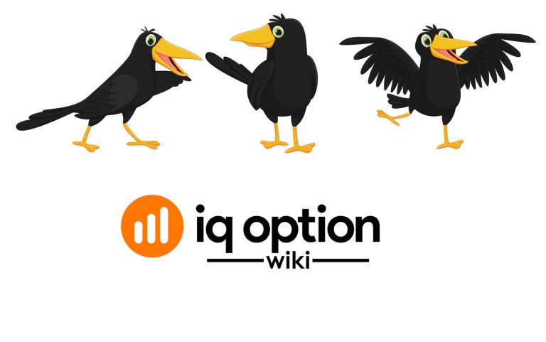 crows iq option
