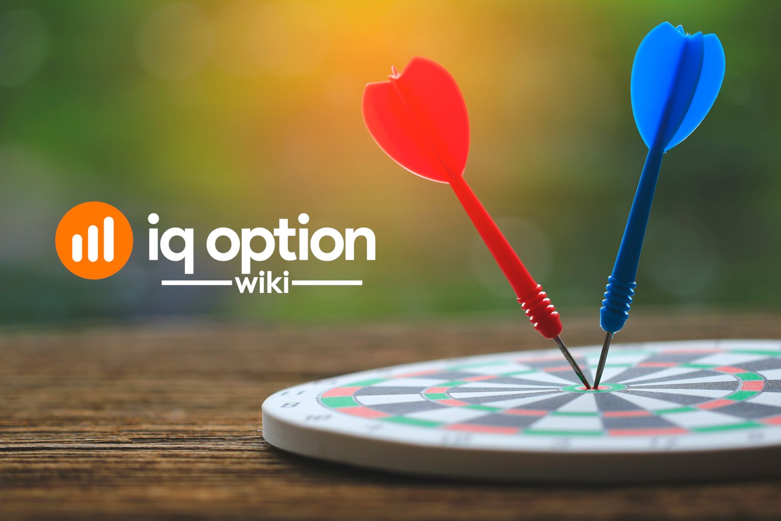 IQ Option Forex vs IQ Option Options Which is More Profitable? - IQ Option  Wiki