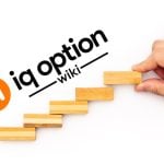 trend is your friend iq option