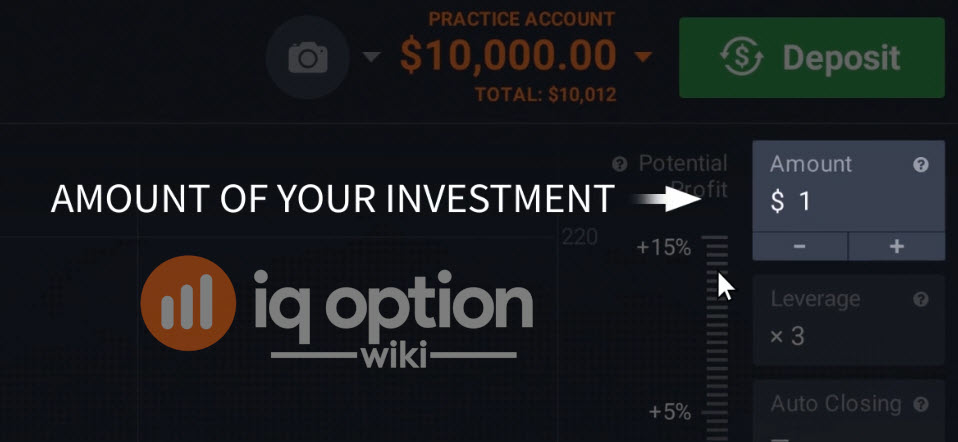 amount of investment