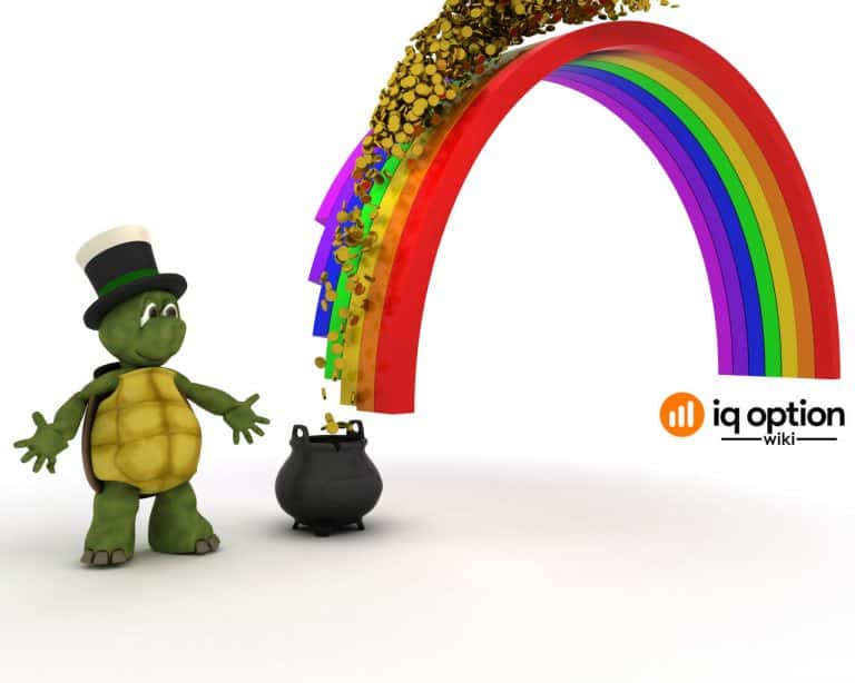 turtle earning money