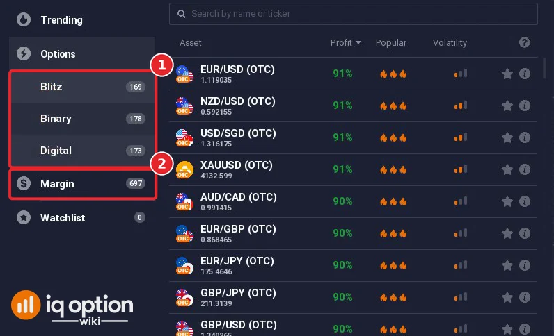 IQ Option asset menu on a Practice account: Options expanded with Blitz 169, Binary 178 and Digital 173 assets, and Margin 697