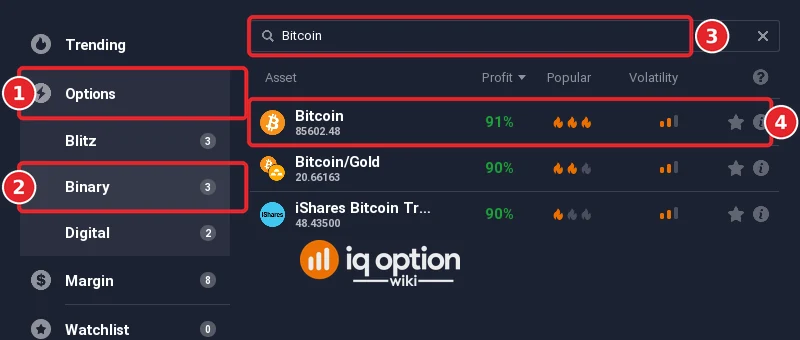 IQ Option asset menu with Options (1) and Binary (2) selected and a search for Bitcoin (3) that lists Bitcoin at 91 percent (4), Bitcoin/Gold and an iShares Bitcoin product
