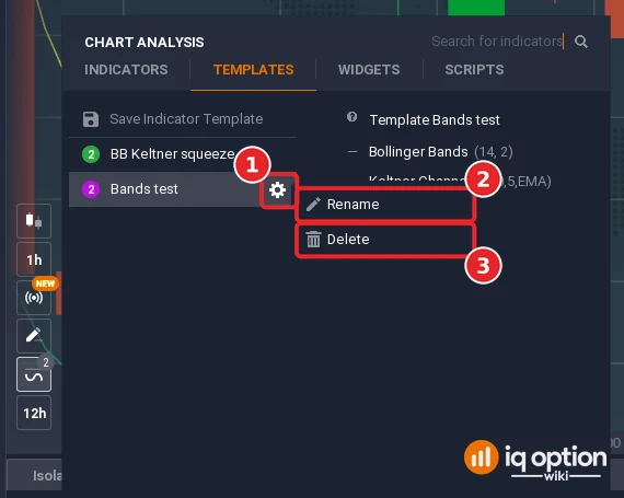 IQ Option template gear menu next to Bands test with the Rename and Delete options