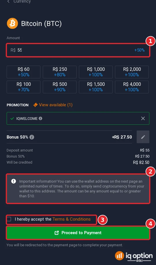 Step 5: the Bitcoin deposit form: amount, bonus code, the note about the reusable wallet address, the terms box and Proceed to Payment