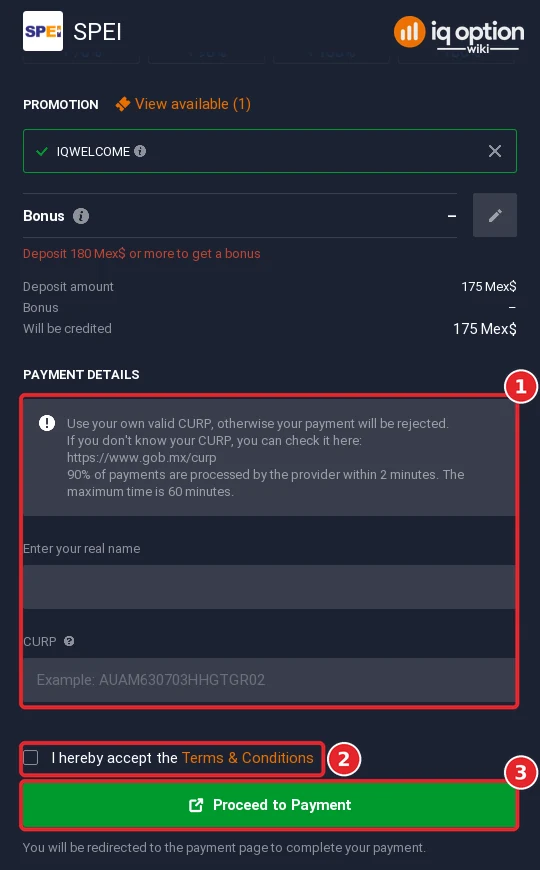 SPEI payment details: your own CURP, real name, terms box and Proceed to Payment
