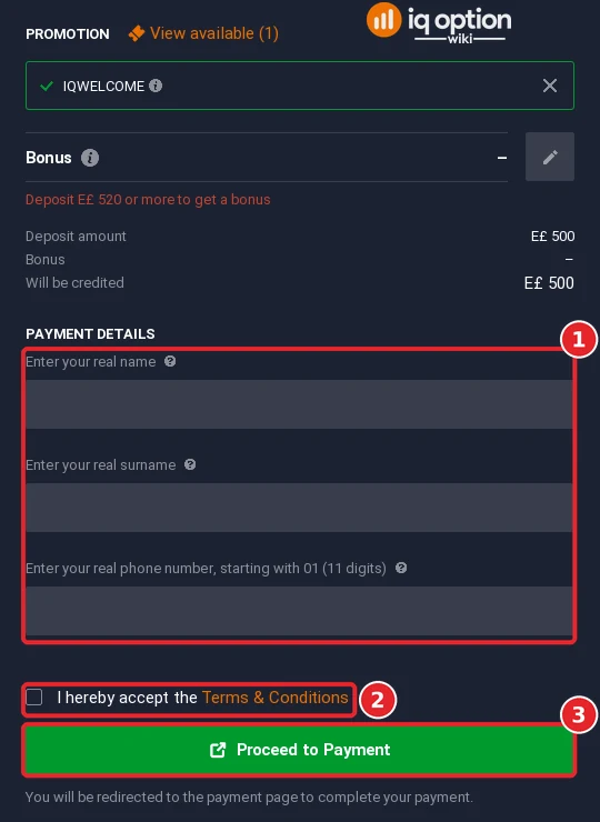 The lower part of the Instapay Egypt form: the personal fields, the terms box and Proceed to Payment