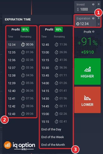 IQ Option Binary expiration menu of EUR/USD with one-minute clock times at 91% and 15-minute times at 93%, plus End of the Day, End of the Week and End of the Month
