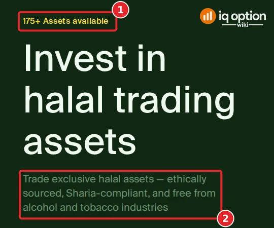 IQ Option Islamic account page section Invest in halal trading assets with the text 175+ Assets available
