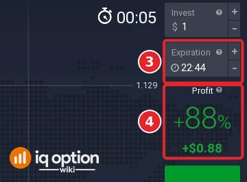 Order panel with the Expiration field (3) and the Profit shown for it (4), 88% when this was recorded
