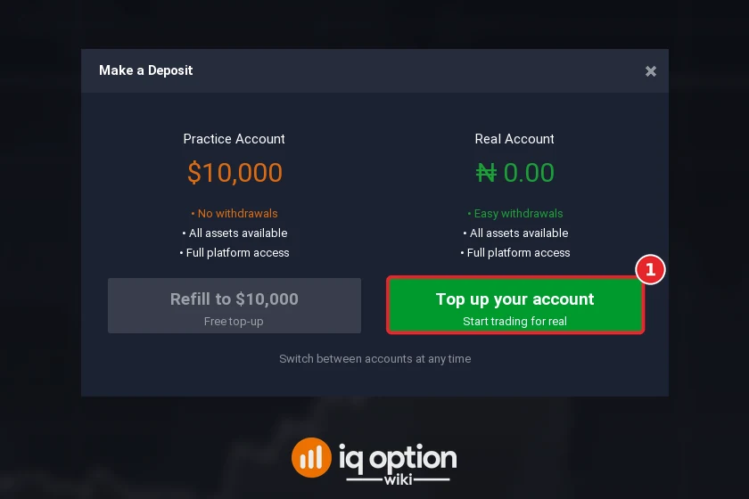 Step 2: Top up your account in the Make a Deposit window; the real account is in naira