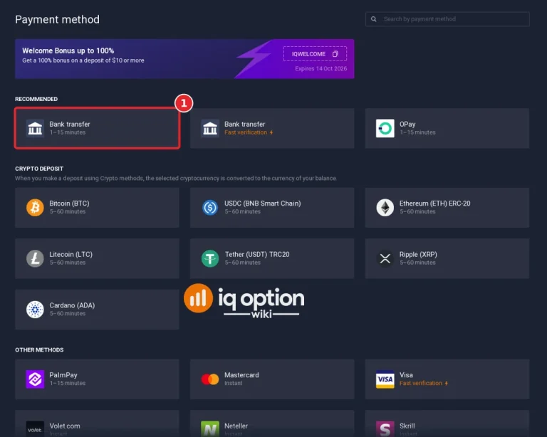 iq option nigeria deposit step 3 bank transfer