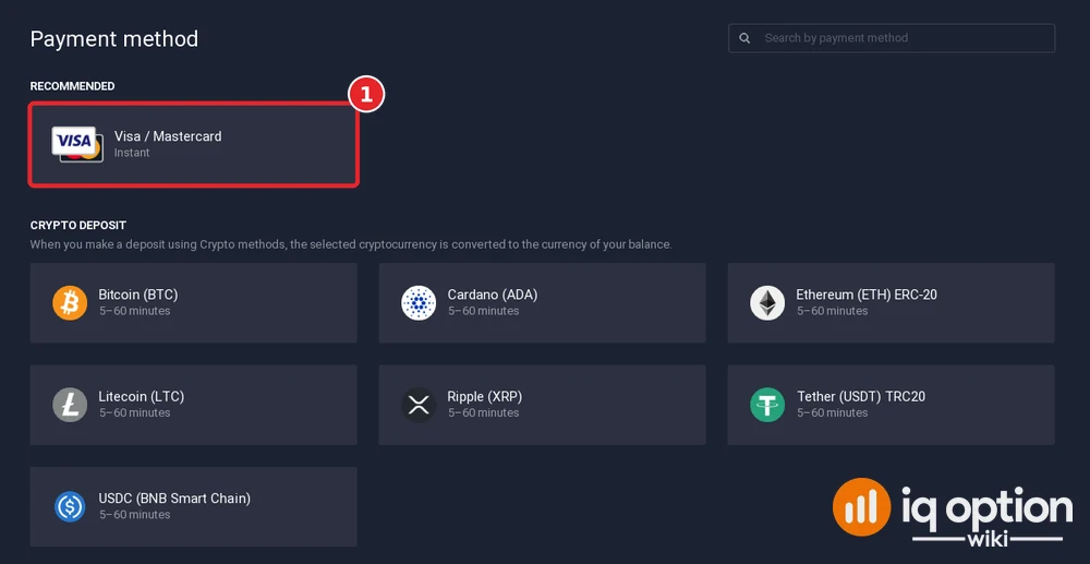 Step 3: the IQ Option cashier for Papua New Guinea, with Visa / Mastercard selected above the crypto deposit block