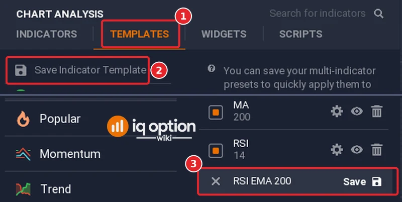 Chart analysis on the Templates tab (1) with the Save Indicator Template row (2) and the Added list with the name RSI EMA 200 typed in the name field (3)