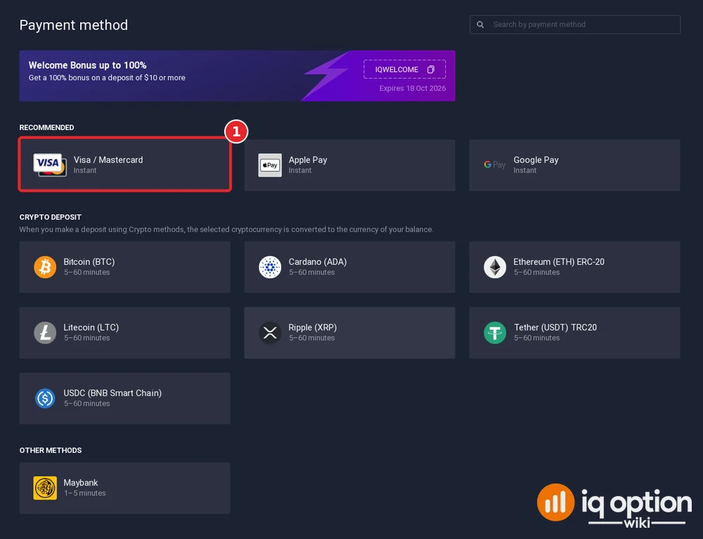 Step 3: the IQ Option cashier for Singapore, with Visa / Mastercard selected