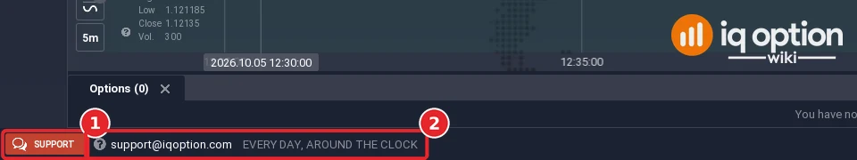 IQ Option traderoom footer with the red Support button and the support@iqoption.com email followed by the note Every day, around the clock