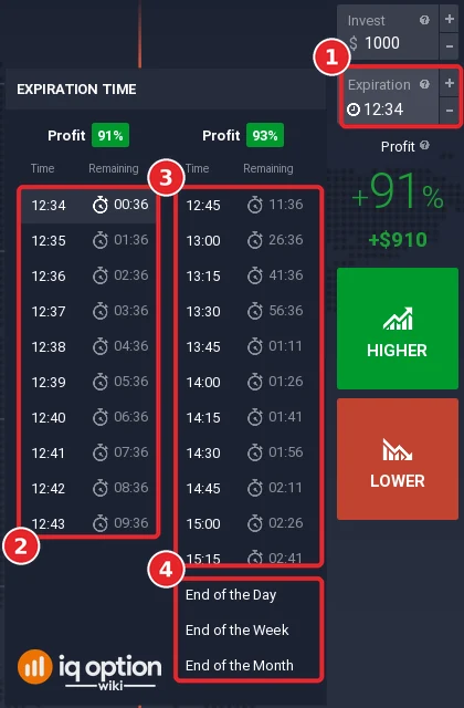 IQ Option Expiration menu of an EUR/USD Binary option listing expiry clock times with remaining time, profit of 91 and 93 percent and the End of the Day, Week and Month options