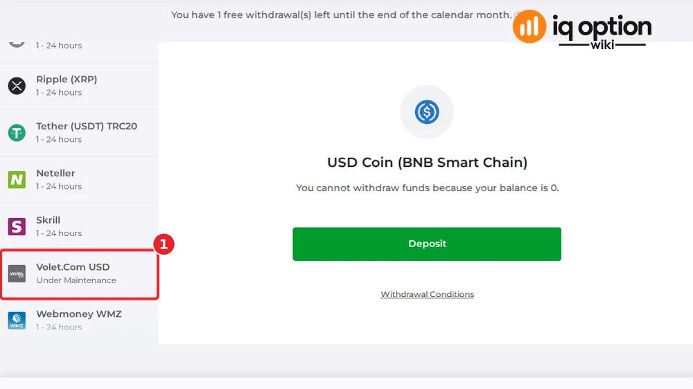 The end of the Argentine list: Neteller, Skrill, Volet.com USD, marked "Under Maintenance" (1), and Webmoney WMZ.